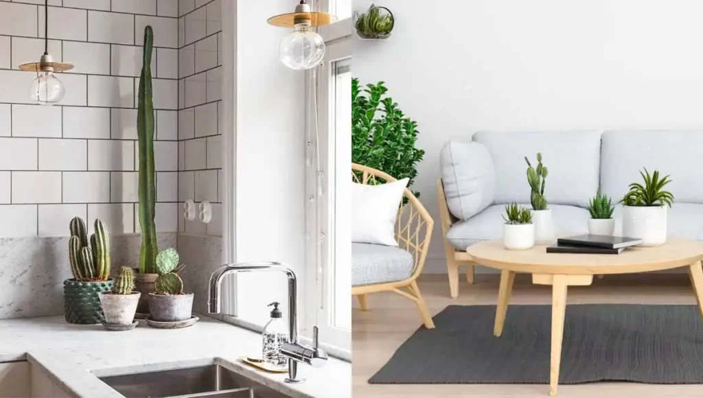 Plantas na decoração mais sóbria e neutra