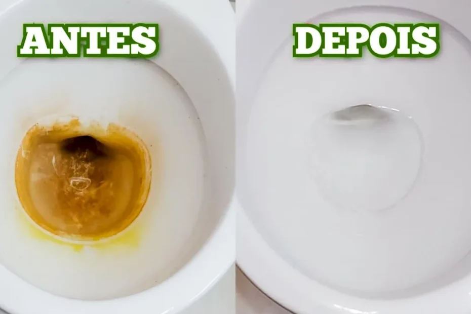 Como remover encardido de vaso sanitário